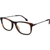 Lozza Brilmontuur VL4147 9AJM 53