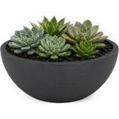 Eda Bloempot EDA Zwart Antraciet Ø 25 cm