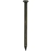 Don quichotte Stalennagel 930541 2,5X25 Bk Gebl 100St