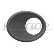 PRASCO PG0111242 Frame, mistlamp