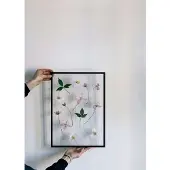 MOEBE lijst 50x70 cm Transparent, Black