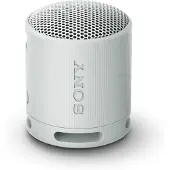Sony SRS-XB100 Grijs