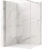 REA Walk-in Douchewand Flexi Transparent / Chrome 80