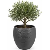 Eda Pot rond Graphit Ø50cm - Contenance 46L - Gris anthracite