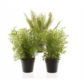 Kaemingk Serie - Synthetische Varen - 30 cm - Groene Kunstplant - Makkelijk Onderhoud