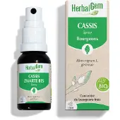 Herbalgem Zwarte Bes Bio | Gewrichten & Spieren 15 ml Spray