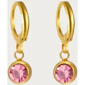 Yehwang Geboortesteen Oorringen - December - Topaas - Zilver