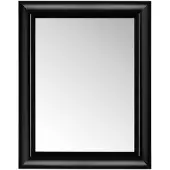 Kartell Francois Ghost Spiegel 88x110 cm | Black Glossy