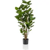 Emerald - Kunstboom Polyscias 105cm - Kunstplant voor binnen