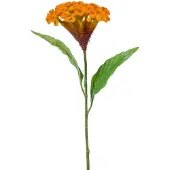 Emerald - Kunstbloem Celosia 62cm geel/oranje - Kunstplant voor binnen
