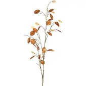 Emerald - Kunstbloem Judaspenning 120cm bruin - Kunstplant voor binnen