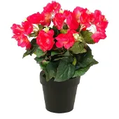 Emerald - Kunstplant Begonia in pot 30cm roze - Kunstplant voor binnen
