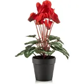 Emerald - Kunstplant Cyclamen in pot 30cm rood - Kunstplant voor binnen