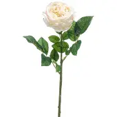 Emerald - Kunstbloem Roos Jenny RT 60cm crème - Kunstplant voor binnen