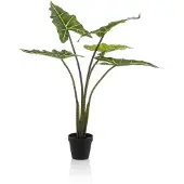Emerald - Kunstplant Alocasia Frydek 80cm - Kunstplant voor binnen