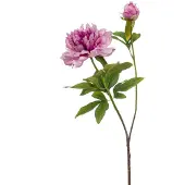 Emerald - Kunstbloem Pioenroos Sarah 73cm lila - Kunstplant voor binnen