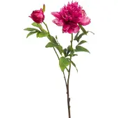 Emerald - Kunstbloem Pioenroos Sarah 73cm beauty - Kunstplant voor binnen