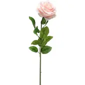Emerald - Kunstbloem Roos Marleen 63cm peach - Kunstplant voor binnen