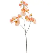 Emerald - Kunstbloem Pronkerwt 75cm peach - Kunstplant voor binnen