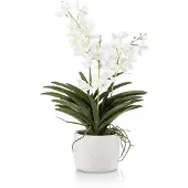 Emerald - Kunstplant Vanda in pot 60cm wit - Kunstplant voor binnen