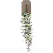 Emerald - Kunst Hangplant Oxalis 70cm - Kunstplant voor binnen