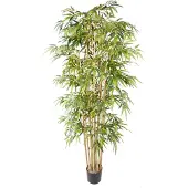 Emerald - Kunstplant Bamboe Deluxe 205cm - Kunstplant voor binnen