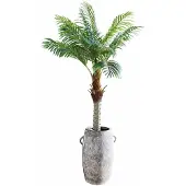 Loberon Decoratieve potplant Zephyriel