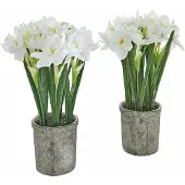 Loberon Sierbloem set van 2 Soralen