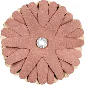 PFERD TOOLS 42732148 Schuurster Diameter 90 mm 10 stuk(s)