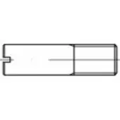 Toolcraft TO-5363286 Tapeind M6 RVS A1 100 stuk(s)