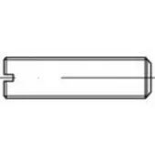 Toolcraft TO-5448156 Draadpen M10 40 mm 100 stuk(s)