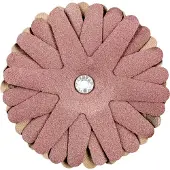 PFERD TOOLS 42732166 Schuurster Diameter 100 mm 10 stuk(s)