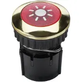 Grothe 63042 Belknop 1-voudig Goud 12 V/1,5 A