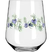 Ritzenhoff Gin & Tonicglas Botanic Lights #5 #6 710 ml (Set van 2)