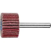 PFERD TOOLS 47802246 Lamellenslijper Diameter 30 mm 10 stuk(s)