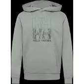 Helly Hansen Core Graphic Hoodie
