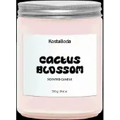 Kosta Boda Mind geurkaars Cactus Blossom, 550 g