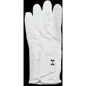 Under Armour Iso Chill Golf Handschoenen Links Her