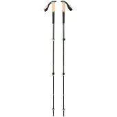Black Diamond - Trail Cork Trekking Poles - Trekkingstokken groen