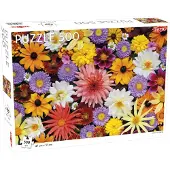 Tactic Lover's Special: Tuinbloemen - 500 stuks, 500 stuks, Planten, 8 jaar