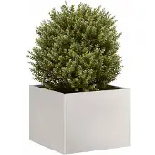 vidaXL Plantenbak 40x40x30 cm roestvrij staal