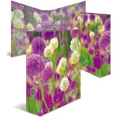 Herma ordner bloemen Purple Sensation, A4, 70 mm