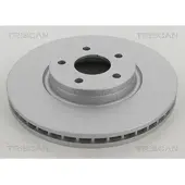 TRISCAN 8120 16163C Remschijf