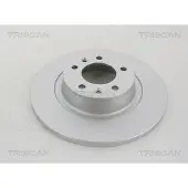 TRISCAN 8120 101013C Remschijf