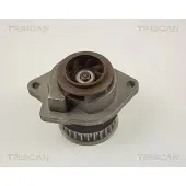 TRISCAN 8600 29018 Waterpomp