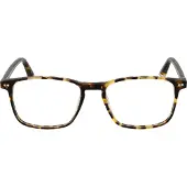 Taylor Morris Brilrand SW16 C10 52