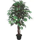 Brulo Ficus Benjamin 110 cm