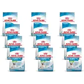 Royal Canin X-Small Puppy - Hondenvoer - 12 x 500 g