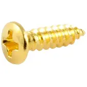 AllParts GS0001B02 100-delige Gouden Pickguard Schroeven