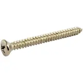 AllParts GS0005B01 Nikkel Nekplaat-Schroeven – 50 Stuks